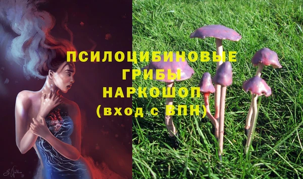 винт Гусиноозёрск